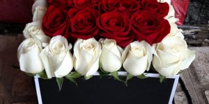 باکس گل رز سرخ و رز سفید توران